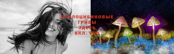 прущая мука Богородицк