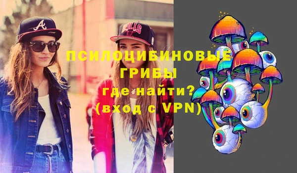 apvp Снежинск