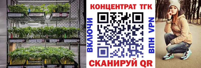 ТГК Wax  Купить закладки  Покровск 
